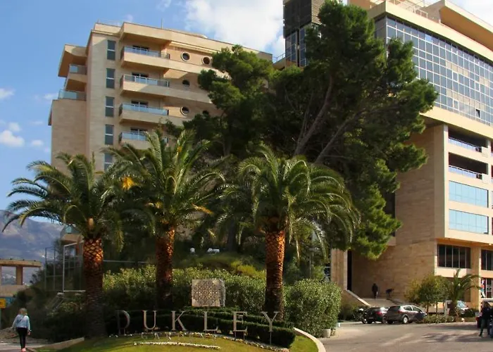 Harmony Bigmontenegro