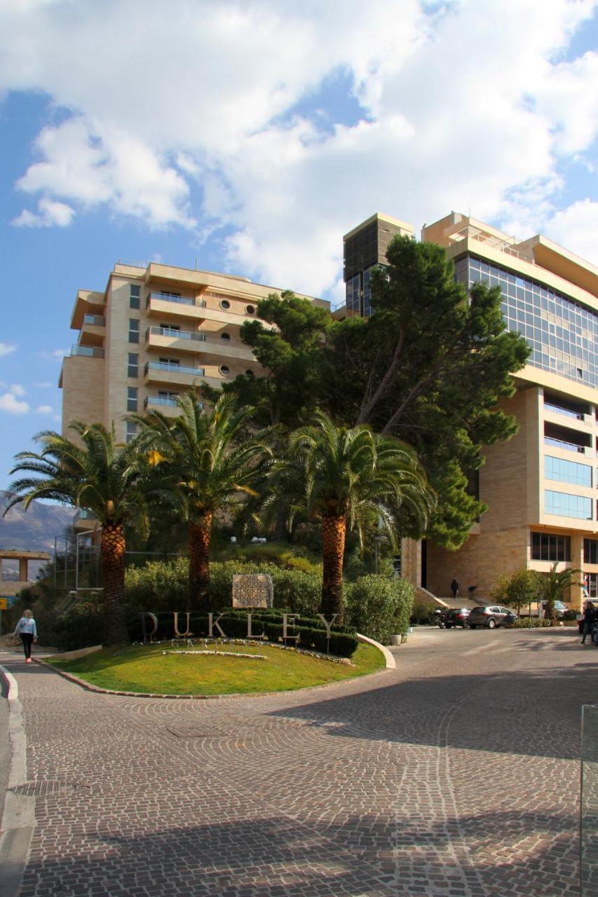 Harmony Bigmontenegro *